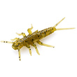 Stonefly 0.75